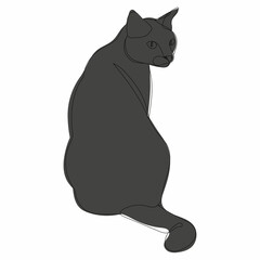 sketch cat sitting, vector, isolated