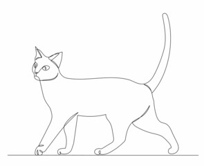 cat drawing by one continuous line, vector