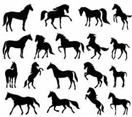 set, collection of horse silhouette, isolated, vector