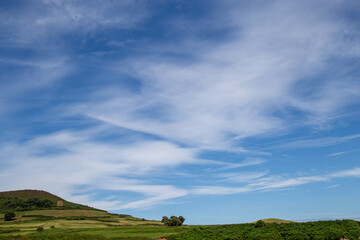 Green grassy slope with blue sky and some clouds