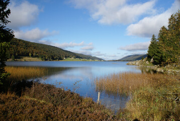 Fototapeta premium Lac des Rousses, Jura
