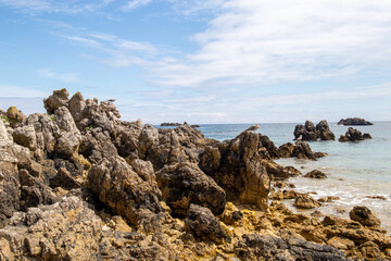 Fototapeta na wymiar Seagull on some rocks in front of the sea