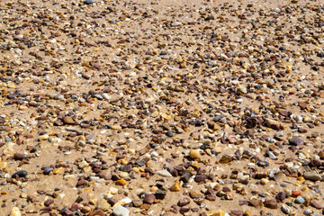 Stones in the beach coast