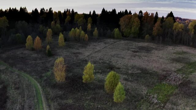 drone over the field, forest, pond