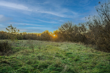 autumn nature of Sursky krai