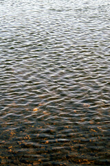 Ripples on water, calmness on river, view of reservoir from the shore. Vertical view, selective focus