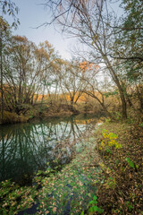 autumn nature of Sursky krai