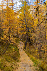 La Valle Varaita in versione autunnale. I laghi, le nebbie, i monti e le strade che si tingono d’oro