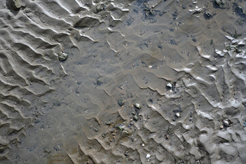 Natural textured surface of wet sand and little stones at a beach