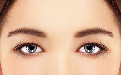 Naklejka premium female blue eyes with makeup and long eyelashes