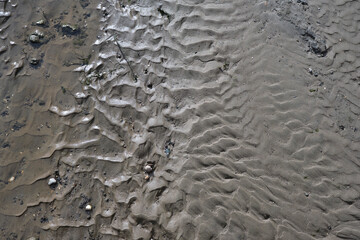 Natural textured surface of wet sand and little stones at a beach