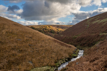 River Dane weaving round the bending valley