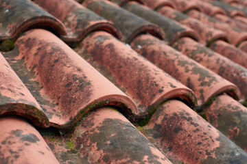 Old, bad, moldy roof tiles.