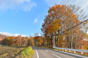 Naklejka premium 秋の景色