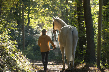 Reiterin mit Pferd im Herbstwald