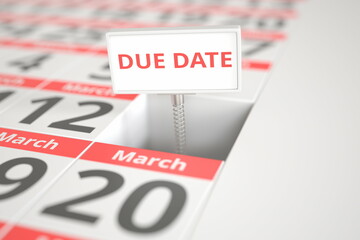 DUE DATE sign on March 13 in a calendar, 3d rendering