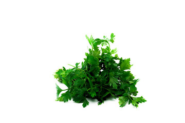 horizontal shot Parsley herb bunch on white background