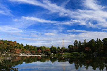Obraz premium 昭和記念公園の秋 紅葉の日本庭園 立川市