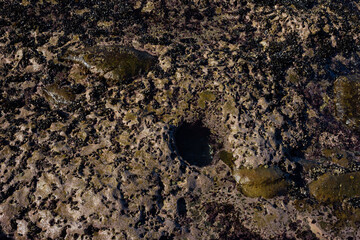 stone ground near the pacific ocean with water