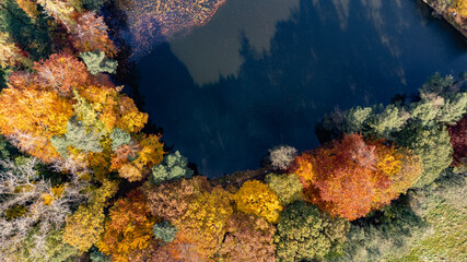 Fototapeta na wymiar Herbstwald mit See