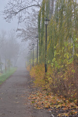 Street lamps on the pedestrian paths in an autumn park among the colorful leaves on a foggy day. Fog.