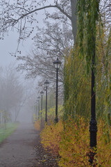 Street lamps on the pedestrian paths in an autumn park among the colorful leaves on a foggy day. Fog.