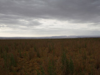 Atacama Desert - Chile