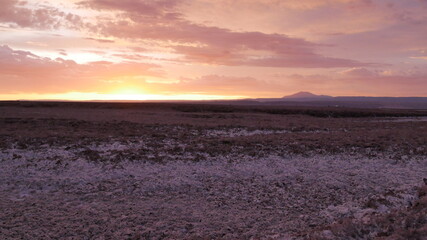Atacama Desert  - Chile