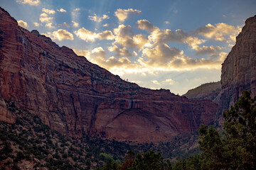 Zion Cliffs