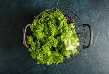 Basket full of fresh lettuce on dark color background