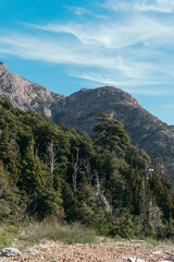 Conexión natural en Bariloche, Argentina.