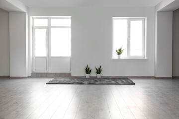 View of empty room with carpet and houseplants
