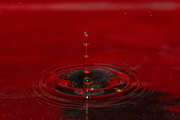 Five water droplets going down into the red water abyss  - stock photo
