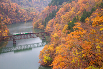 Fototapeta na wymiar Autumn train