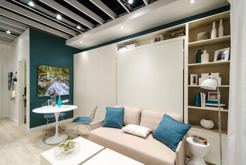 Interior design of a luxury living room