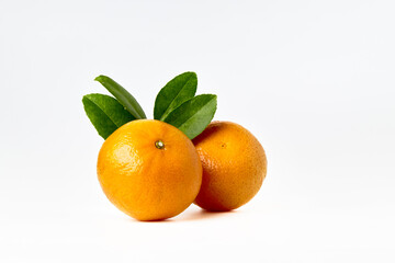 Orange fruit with orange leaves