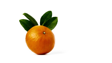 Orange fruit with orange leaves