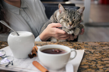 Woman with cat drinking tea at table in cafe