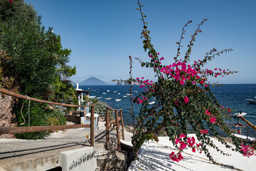 Insel Panarea mit pinkfarbener Pflanze und Vulkaninsel Stromboli im Hintergrund