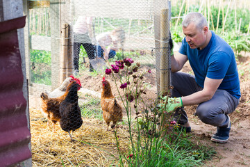 Portrait of positive amateur gardener squatting near chicken coop in his homestead © JackF