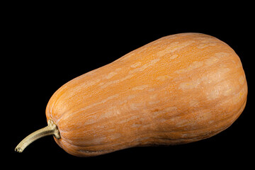Fresh orange pumpkin, isolated on black background