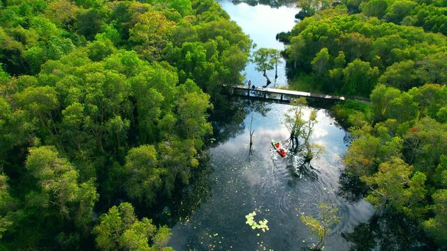 4K aerial view from a drone. wetlands with various trees represent the integrity of the forest. beautiful scenery of rayong Botanical Garden, Thailand
