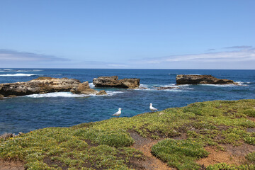 Fototapeta na wymiar View of Great Ocean Road national park in VIctoria, Australia
