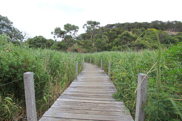 Scenic view of Tower Hill Wildlife Reserve