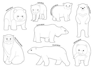 Bear Set Various Kind Identify Cartoon Vector Black and White