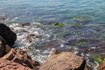 Stony shore of the Black  sea in Bulgaria