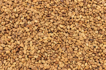 Background of the raw coffee beans
