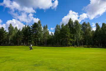 Fototapeta na wymiar Landscape, golf course,, green grass on the background of the forest and a bright sky with clouds