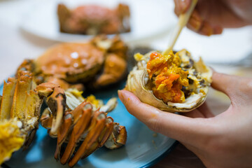 Eat chinese hairy crab at home © leungchopan