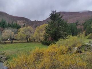 autumn in the mountains